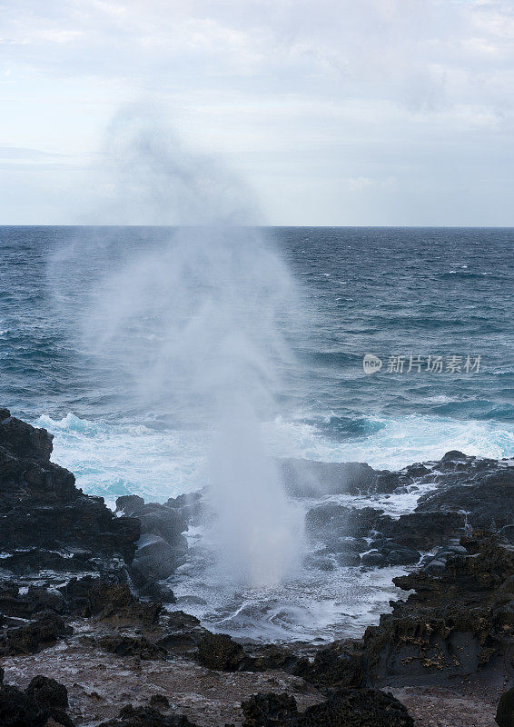 毛伊岛北岸的纳卡莱莱喷水孔喷发