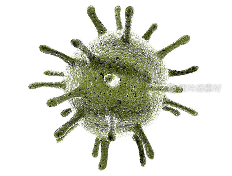 细菌病毒细胞分离于白色