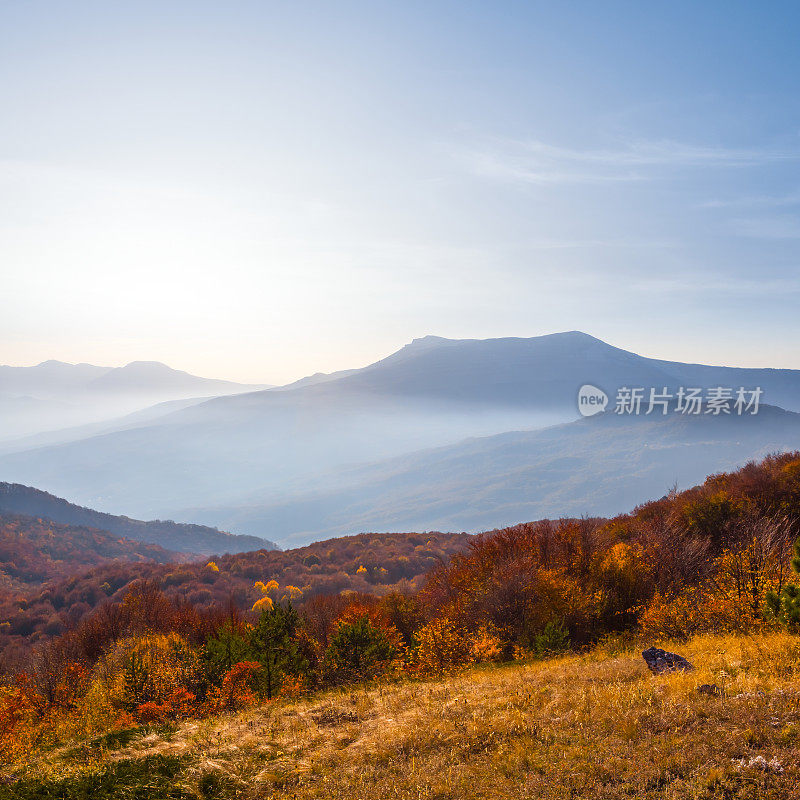 秋天的山谷里弥漫着蓝色的薄雾