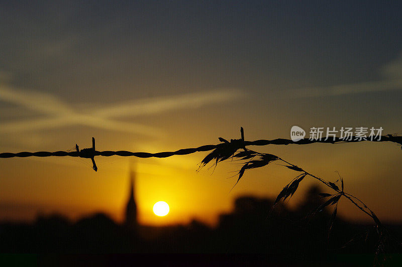 黎明的场景