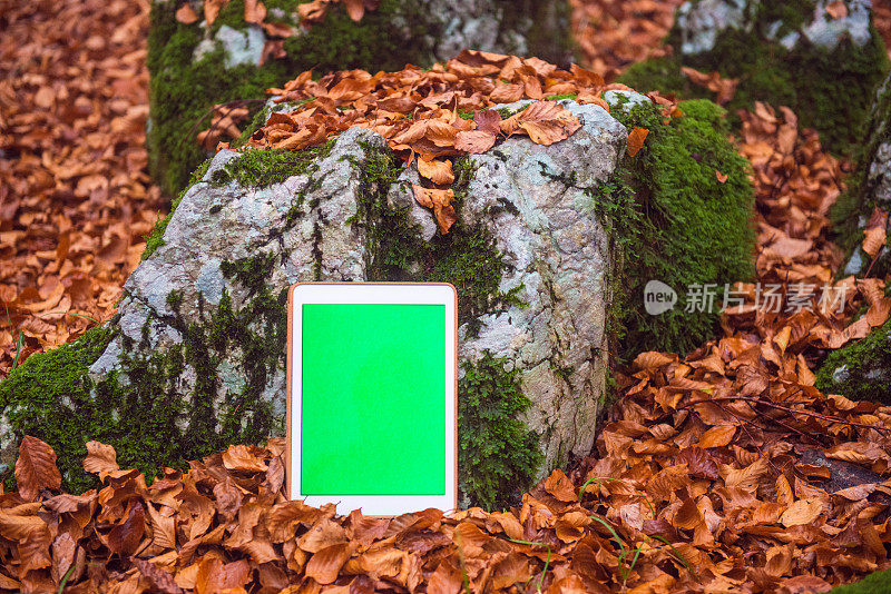 数字平板电脑与绿色屏幕躺在秋天的森林，欧洲