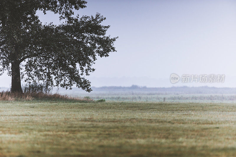 在寒冷的秋天里，一片雾蒙蒙、寂静无声的风景