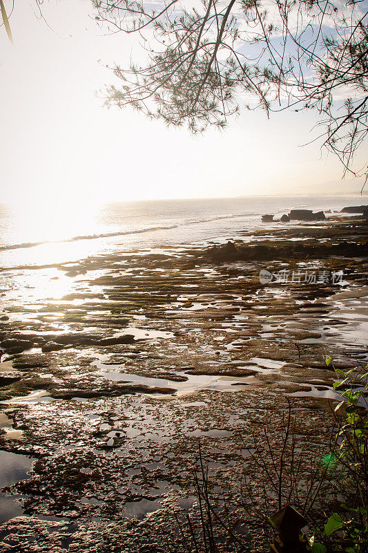 巴厘岛日落时的粗糙海岸泻湖