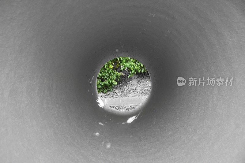 在一个下水道