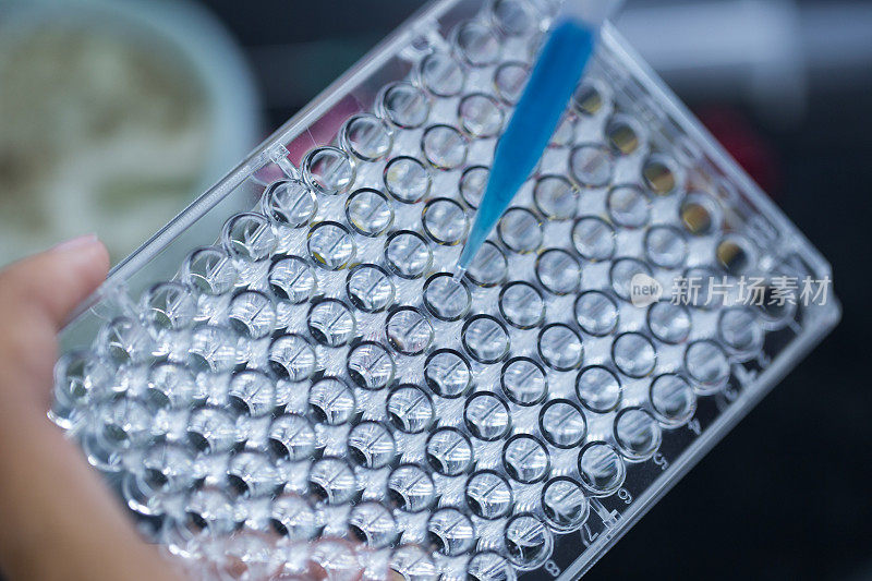 具有96孔微孔板实验室测试的科学研究背景。