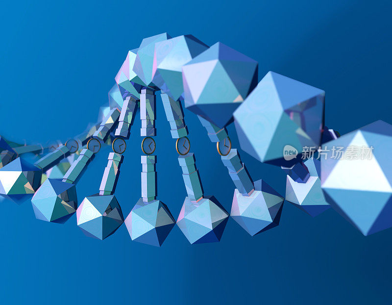 DNA生物技术，时间传承与传承