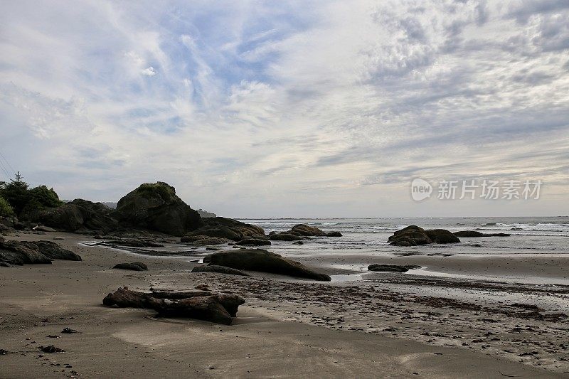 落潮池，岩石海岸，奥林匹克国家公园海滩，华盛顿