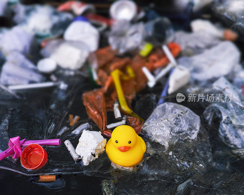 橡皮鸭试图浮在水中的人造垃圾中。