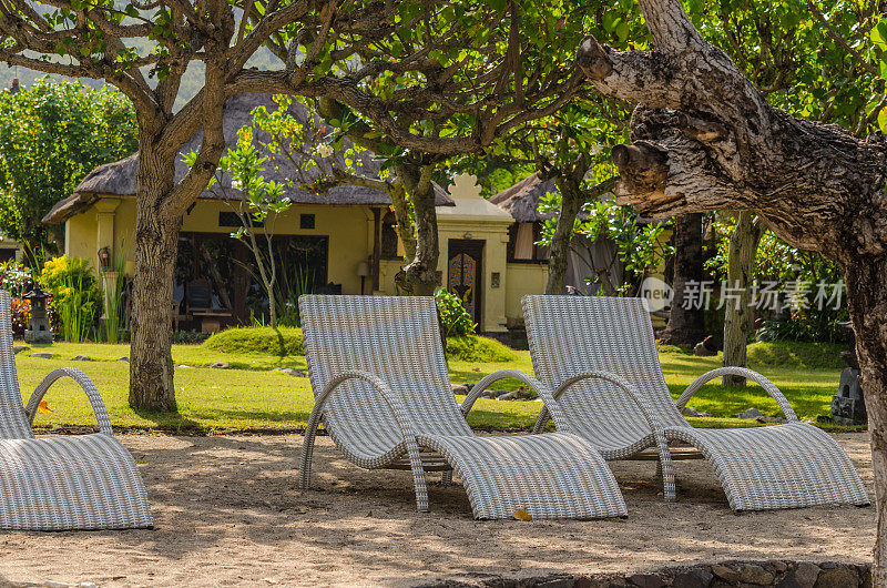 海滩度假胜地的阳光躺椅