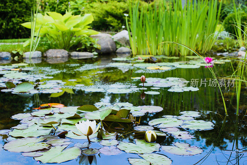 花园雕塑-可爱的小鸟靠近池塘