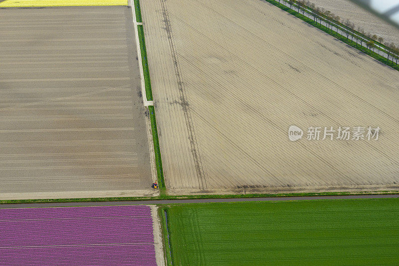 荷兰春季郁金香花海的鸟瞰图