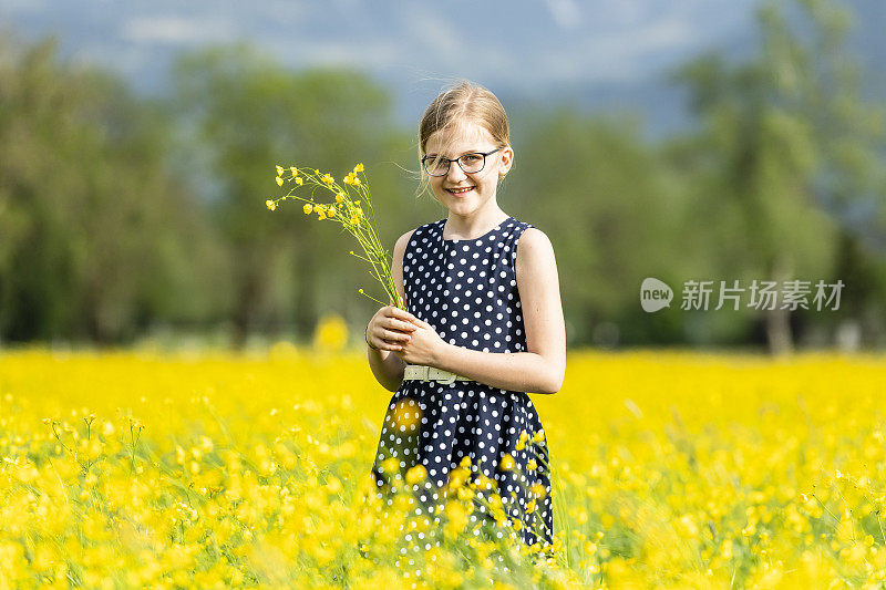 微笑的女孩正在盛开的田野里摘花