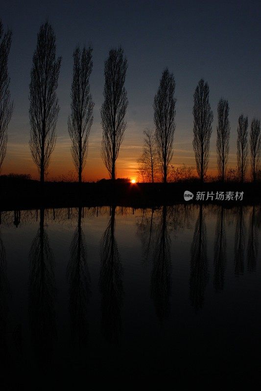 夕阳西下，树木倒映在湖面上