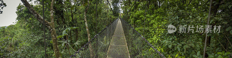 吊桥全景，arenal国家公园，哥斯达黎加