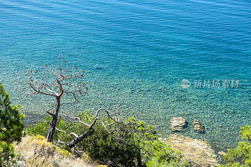 来自土耳其的地中海沿岸