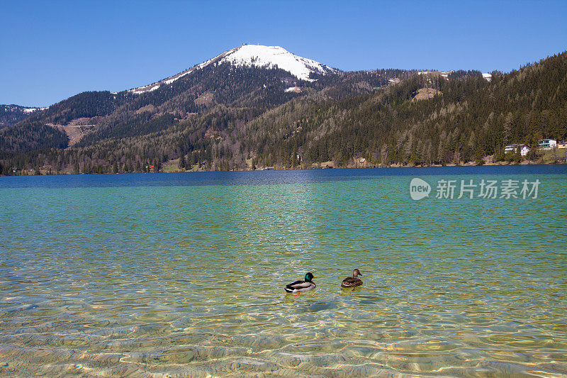 奥地利阿尔卑斯山的埃尔劳夫湖