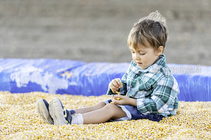 一个小男孩在南瓜地里的玉米坑里玩耍