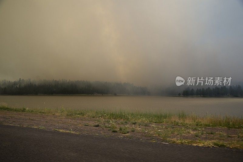 玛丽科科尼诺湖森林大火