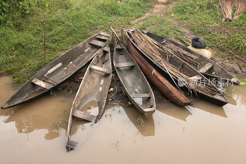 木制独木舟在秘鲁亚马逊河沿岸排成一排