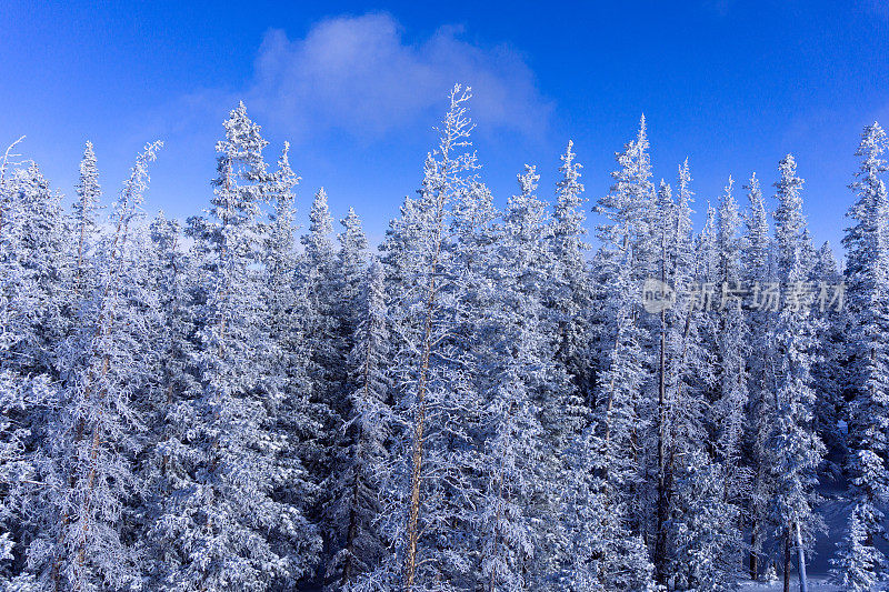 滑雪斜坡和缆车景观