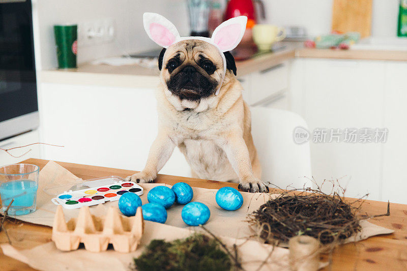 漂亮的小兔子正在做复活节彩蛋和装饰品