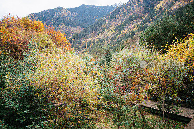 观赏风景优美的木山和湖泊景观，中国九寨沟国家公园