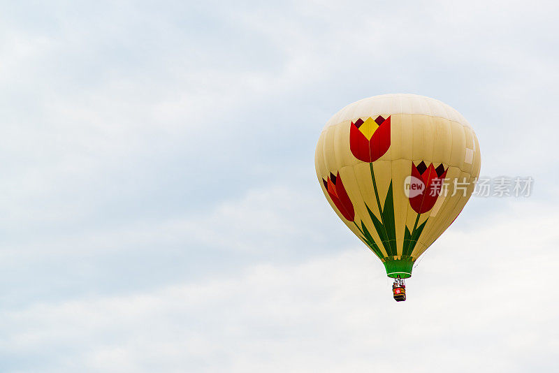 在加拿大圣约翰举行的国际热气球节