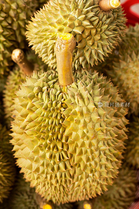 泰国榴莲水果的特写