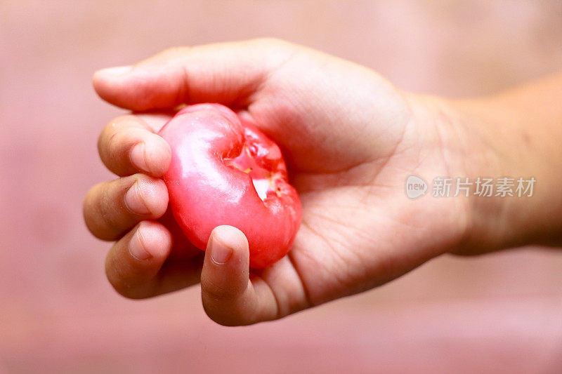 蜡像苹果或爪哇苹果在孩子手里