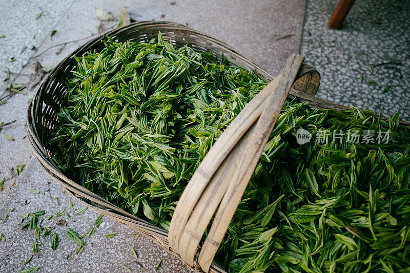 新鲜的绿茶竹篮