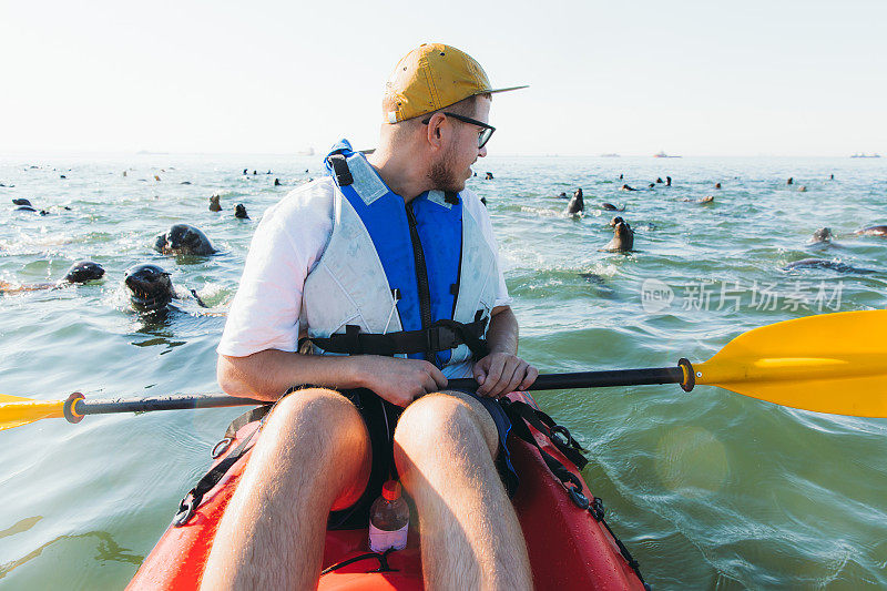 在非洲纳米比亚的一个阳光明媚的日子里，一个年轻人和一群游泳的海豹一起划皮划艇