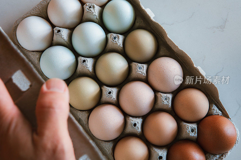 按颜色排列的自由放养有机鸡蛋
