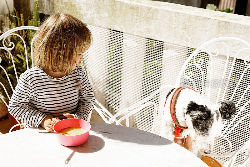 小女孩坐在阳台上，准备和她的杂种狗一起喝汤