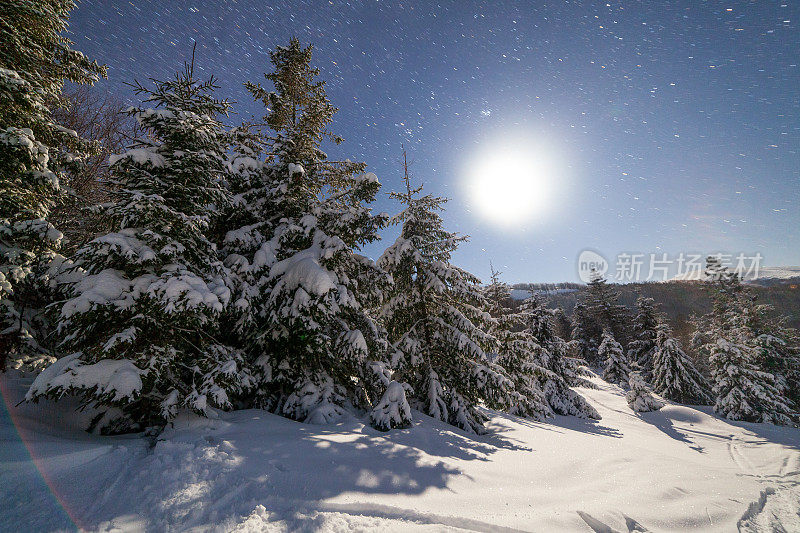 壮丽的星空笼罩着冬日的山景。夜景。月光下美丽的高大冷杉。喀尔巴阡山,乌克兰,欧洲。