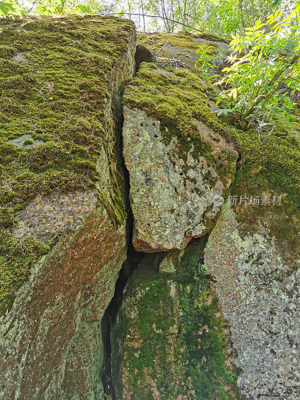 维堡市Monrepos的岩石自然公园里，一个长着树木的圆石栅栏。