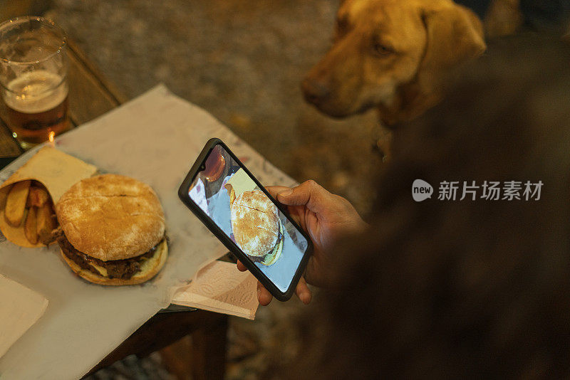 图为，在一辆蜜黄色食品卡车上，顾客狗正在专心地看着主人给它们的食物