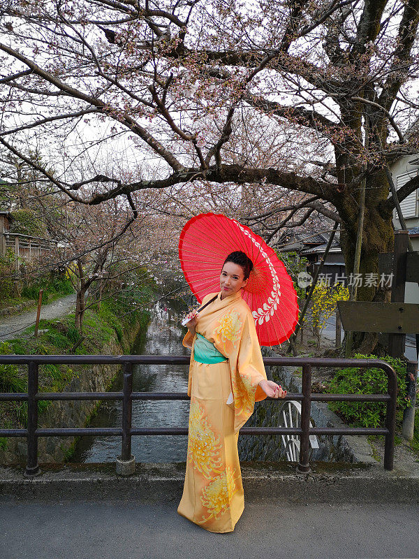 日本京都，一位身穿橙色和服、打着红色雨伞的妇女