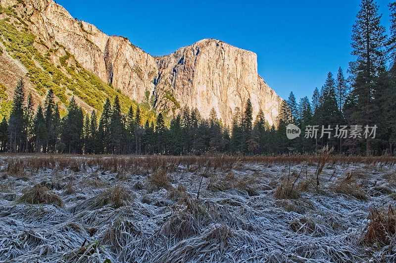 约塞米蒂山谷一个寒冷的秋日早晨，褐色的草地上结着厚厚的霜冻
