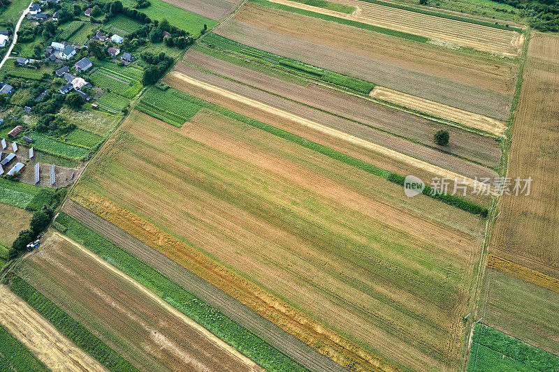 在明亮的夏日，绿色和黄色的耕地与作物的空中景观视图