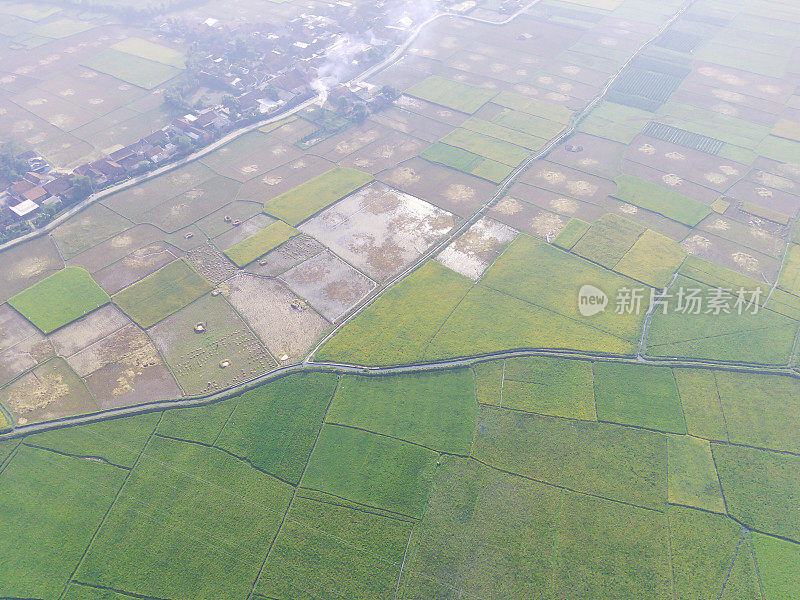 工厂和工业区周围的空中稻田