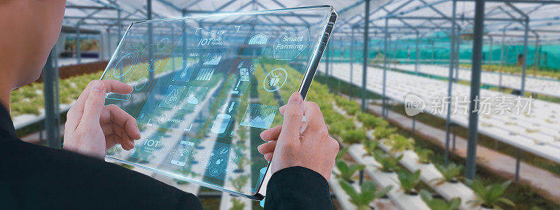 未来智能农业，商人使用智能平板，有机蔬菜房生产控制，概念农业技术，数字物联网农业自动化，计算机分析数据可视化图标