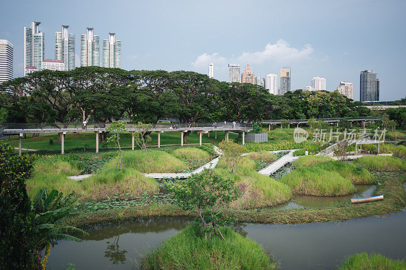 曼谷城市景观和生物基础设施的Benchakitti公园绿地森林公园在泰国曼谷