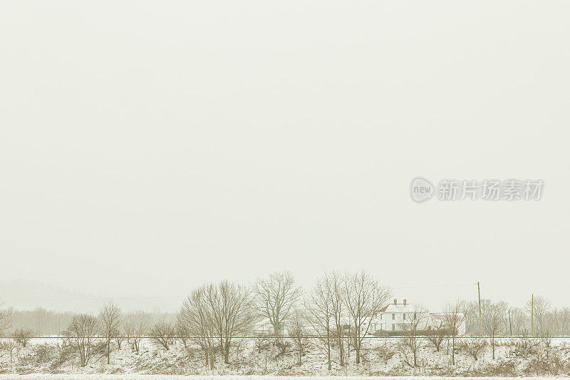 2022年12月，俄亥俄州奇利科特的雪天里，奇形怪状的雪树