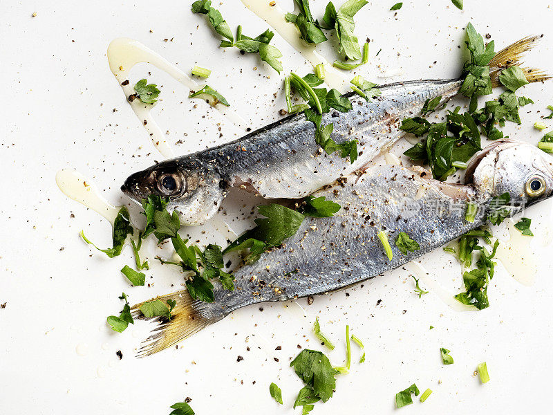 生的新鲜沙丁鱼，白色背景上的沙丁鱼和橄榄油，腌沙丁鱼