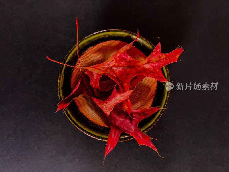 小陶瓷碗里的秋红叶