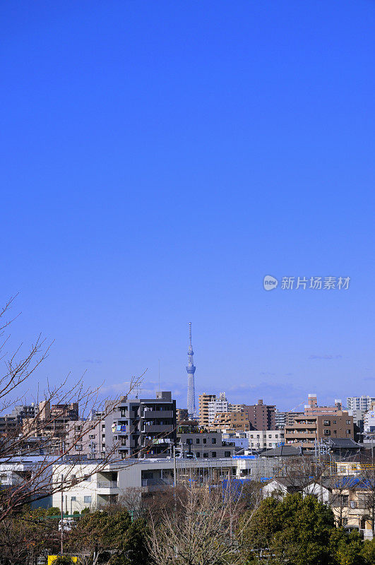 从东京江户川的渚公园(Kasai)看到的天空树