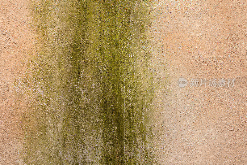 橙色和绿色的墙壁背景，罗马意大利