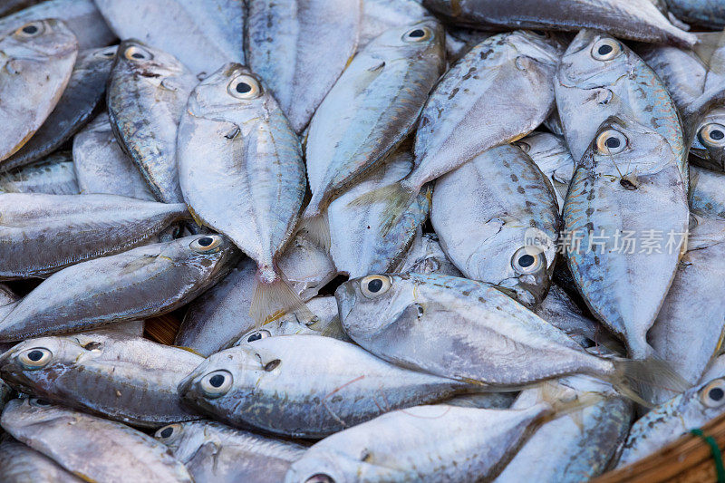 在越南广南省中部海岸，新鲜的鱼是渔民的海洋资源