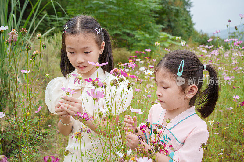 两个孩子在采摘野花