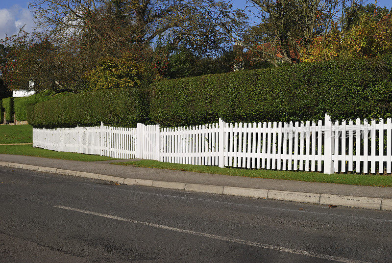 白色尖桩篱笆和树篱。萨里。英格兰